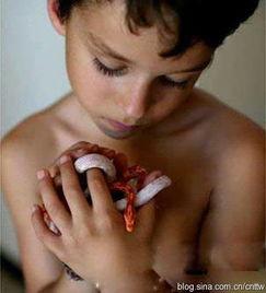 女人的祼体图片,女性身体的艺术诠释