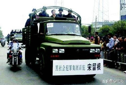 宋留根个人资料,从基层奋斗到行业翘楚的传奇人生