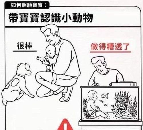 照顾婴儿搞笑视频,育儿路上的欢乐时光